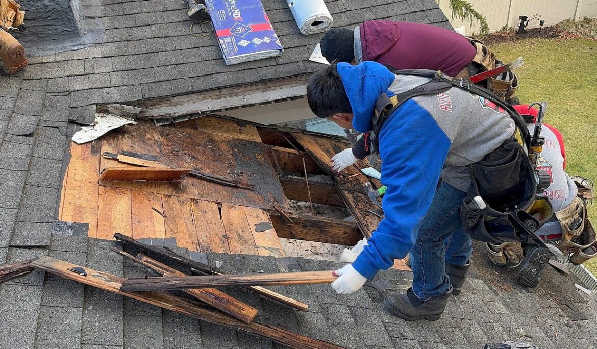 Emergency roof repair services